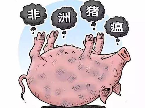 1595062265510889.jpeg image.jpeg