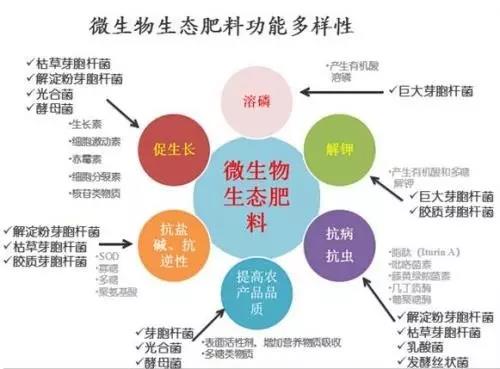 1595063821606316.jpg 微信图片_20200718092557.jpg